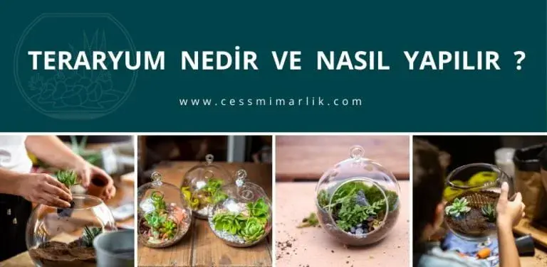 teraryum nedir nasil yapilir